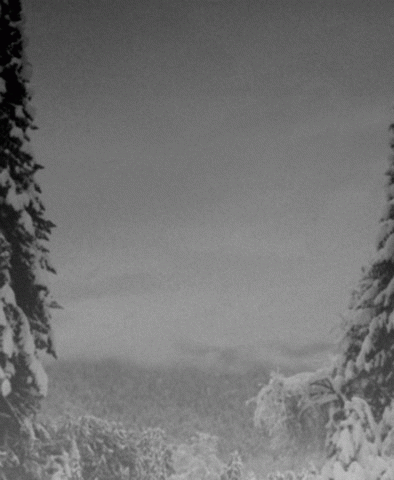 Vintlechkeit : Mektige Trinn​...